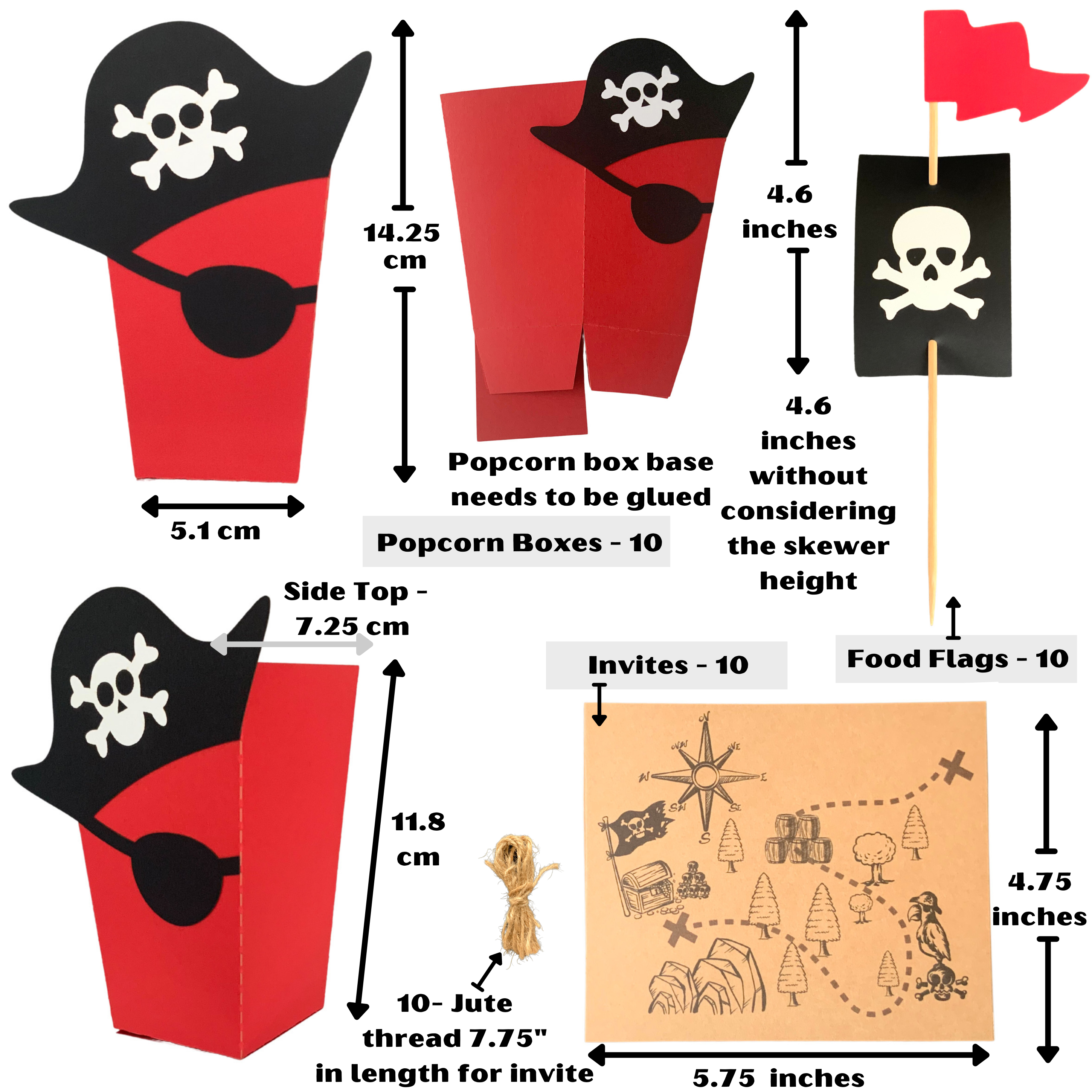 Pinfliers Pirate Theme Birthday Party, A Combo for 10 kids
