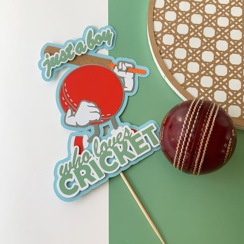 Pinfliers cricket theme cake toppers, birthday decoration for husband, boys, party table decor, 1 cake topper-multicolor